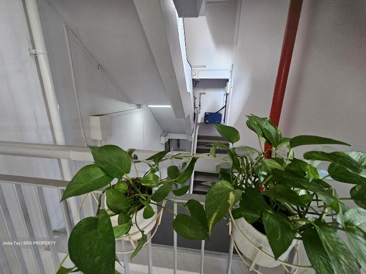 Blk 53 Chai Chee Gardens (Bedok), HDB 5 Rooms #506176161